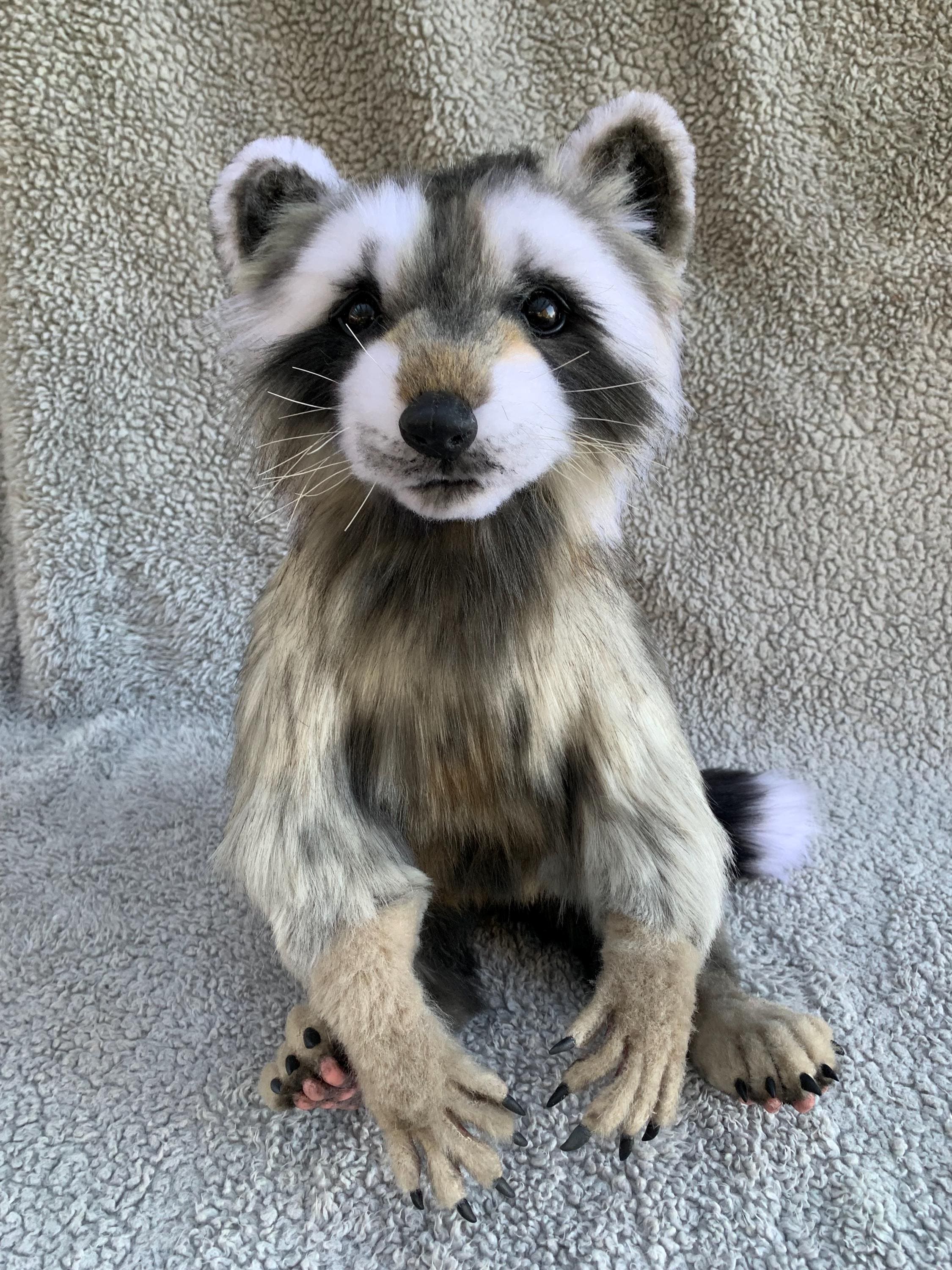 Realistic Raccoon Plush- Hand Made Posable Stuffed Animal - Etsy