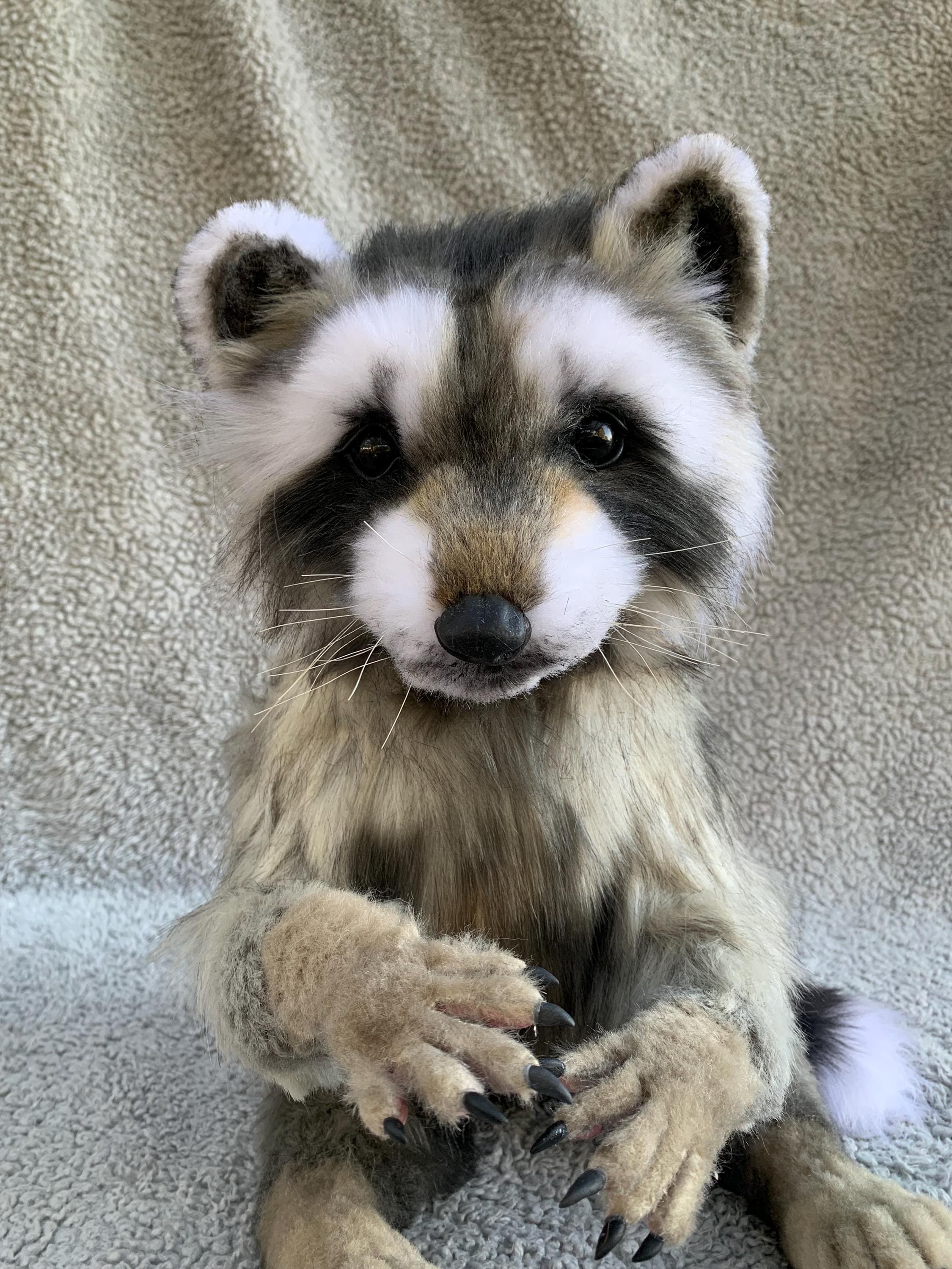 Realistic Raccoon plush- Hand made posable stuffed animal
