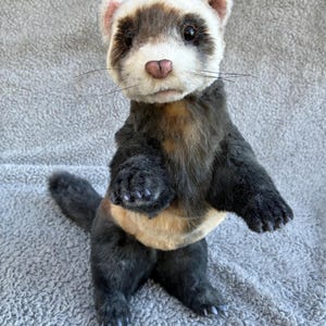 Realistic ferret plush- Hand made posable stuffed animal
