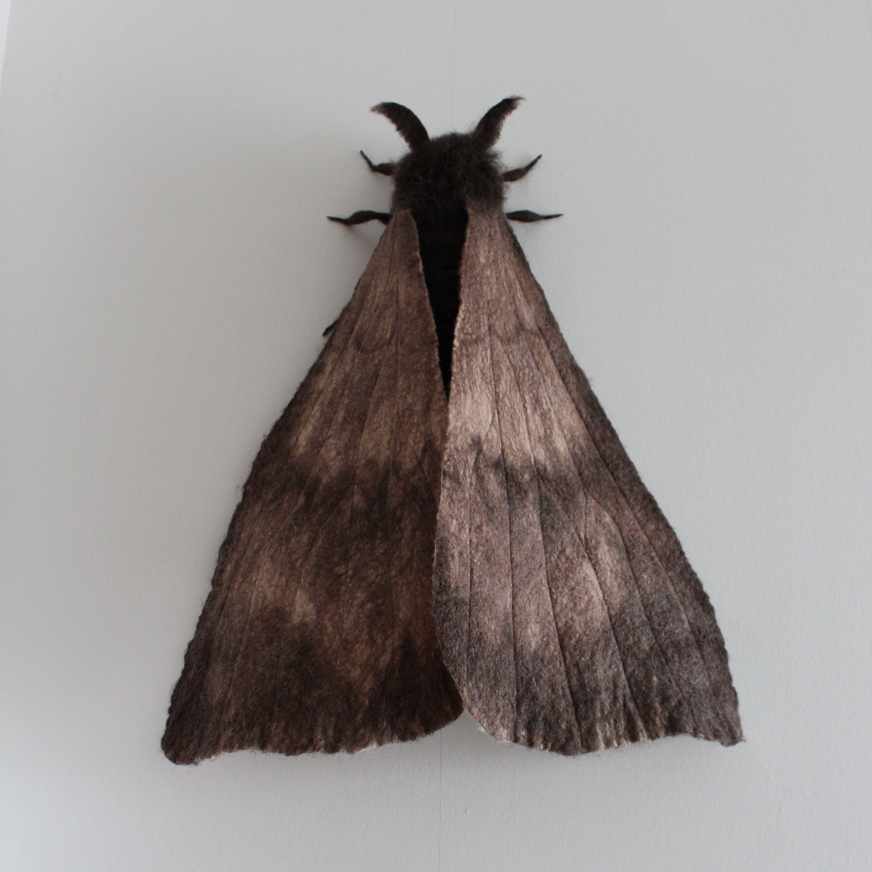 Moth Wall decor moth felted moth big moth Butterfly on the Etsy