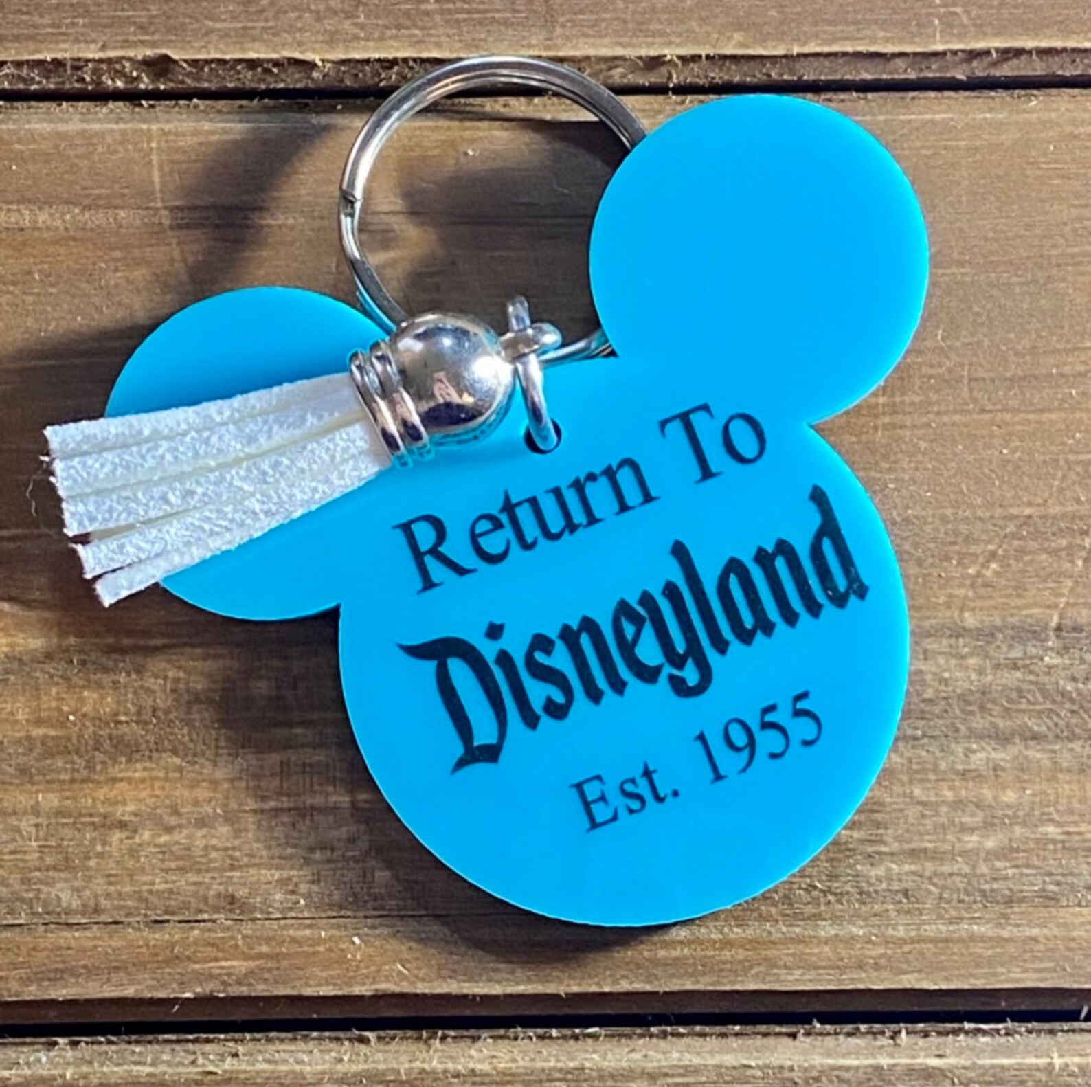 Regreso a Disneyland KeychainReturn to Magic Kingdom Etsy