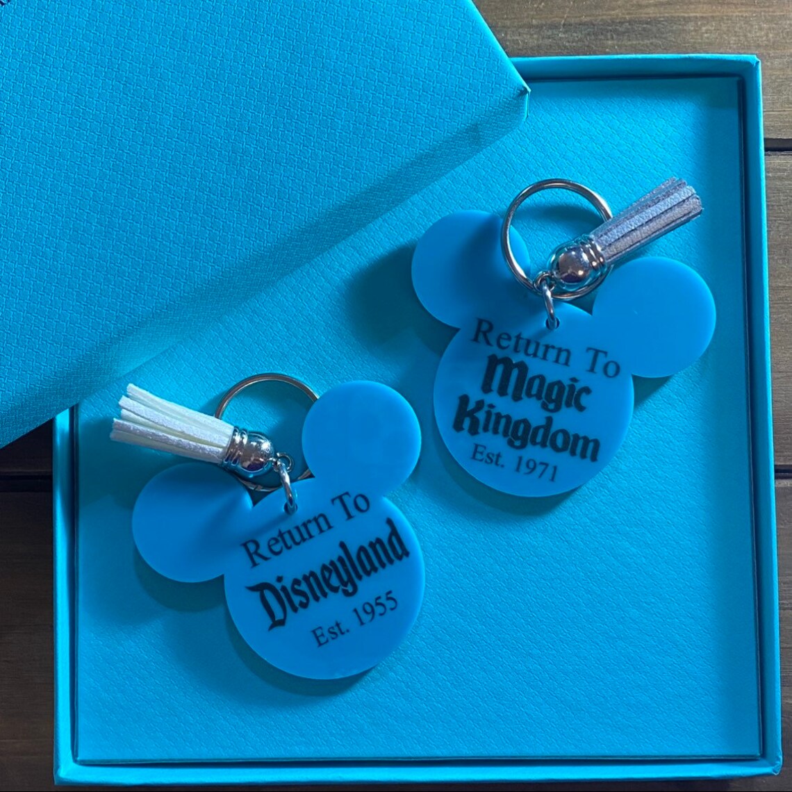 Regreso a Disneyland KeychainReturn to Magic Kingdom Etsy
