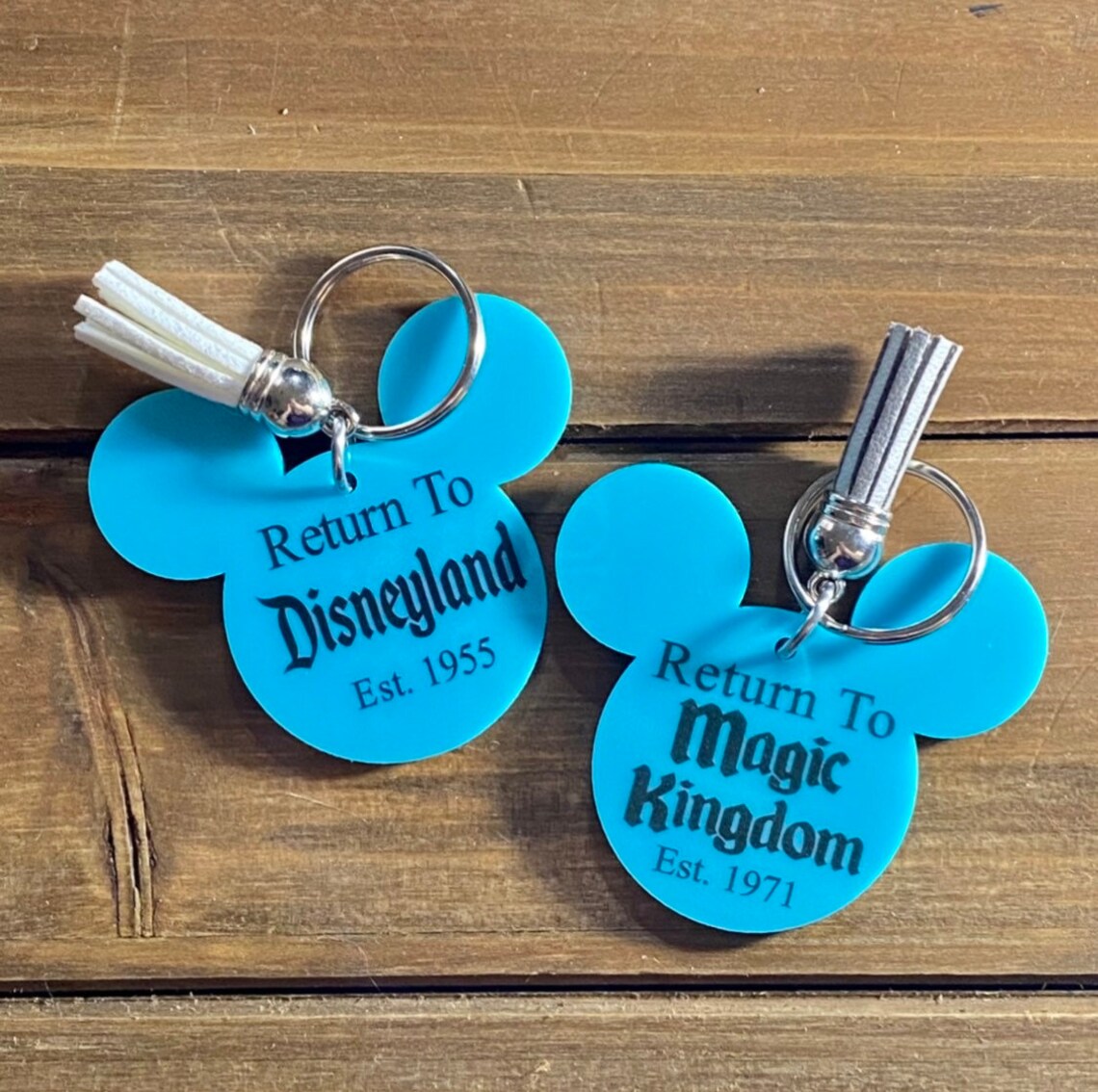 Regreso a Disneyland KeychainReturn to Magic Kingdom Etsy