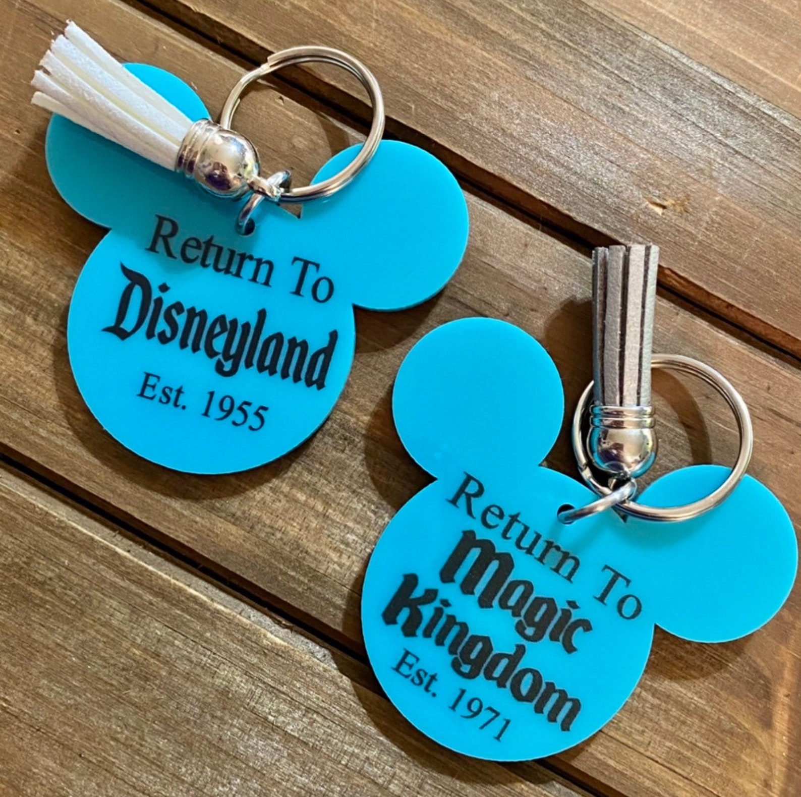 Regreso a Disneyland KeychainReturn to Magic Kingdom Etsy