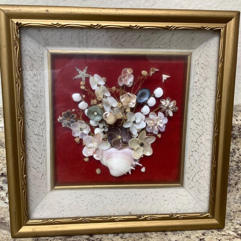 Real Shell Art Real Seashell - Etsy