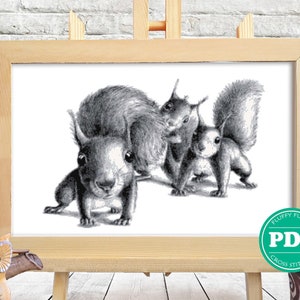 May include: Black and white cross stitch pattern featuring three squirrels. The squirrels are drawn in a realistic style with detailed fur and facial features. The pattern is perfect for cross stitch enthusiasts who enjoy animal themes.