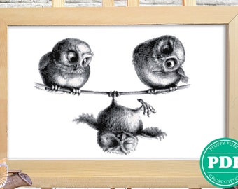 Three Funny Owls Cross Stitch Pattern, Cute Animal Embroidery, Black & White Birds, Monochrome Silhouette Pattern, PDF - PATTERN ONLY