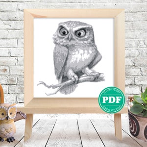 May include: A black and white cross stitch pattern of an owl perched on a branch. The pattern is framed and ready to be stitched.