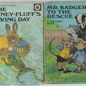 2 Vintage Ladybird books, woodland animal stories, series 401, hardback books, 1970&#39;s, vintage English books, collectible.