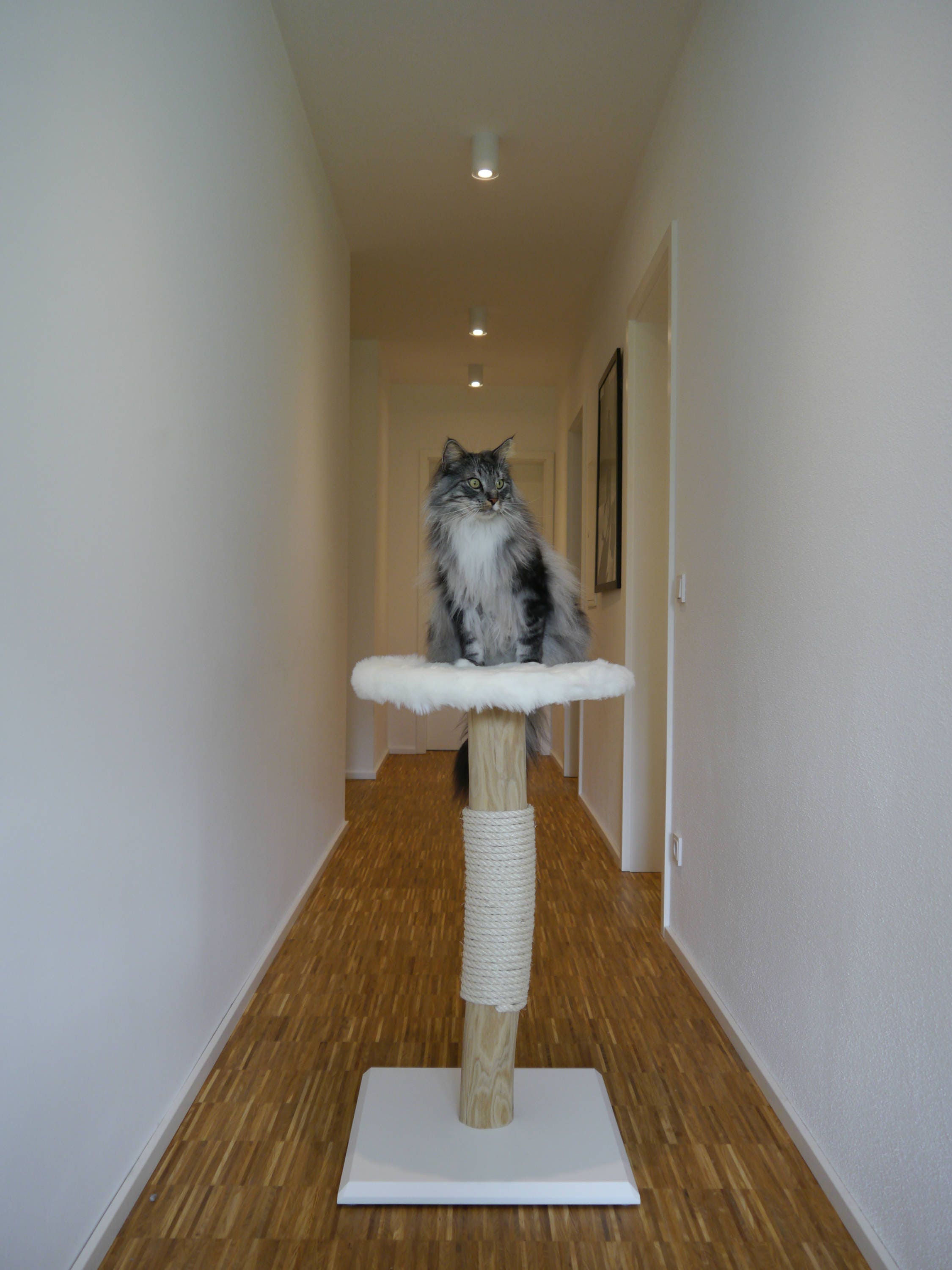 Solid Wood Scratching Post Small With Sisal and White Fur Etsy