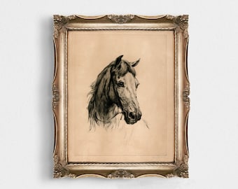 Vintage Horse Sketch Wall Print - Printed and shipped to you on premium paper