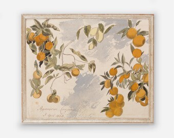 Oranges and Lemons Still Life - Vintage Fruit Tree Painting