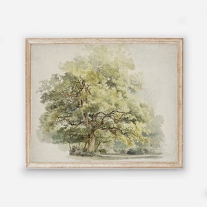 Vintage Tree Wall Art - Green Beige Art Print - Boomstudie by George Andries Roth - Printed and Shipped to you