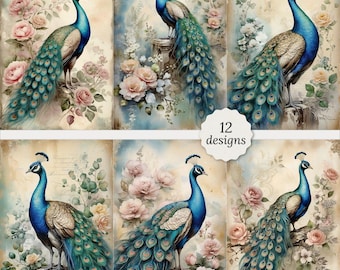 Vintage peacock junk journal pages bundle, Vintage peacock Cards, Vintage bird Decoupage, Scrapbook, 12 High Quality Watercolor JPGs, A4