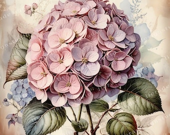 Vintage Hydrangea Bundle, Hydrangea Junk Journals, Vintage flowers Decoupage, Scrapbook, 10 High Quality Watercolor JPGs, commercial