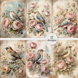 Shabby chique vintage vogel junk dagboek pagina's bundel, Shabby chique vogelkaarten, decoupage, plakboek, 12 hoogwaardige aquarel jpg's, A4