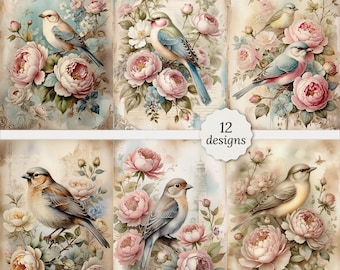 Shabby chic vintage bird junk journal pages bundle, Shabby chic bird Cards, Decoupage, Scrapbook, 12 High Quality Watercolor JPGs, A4