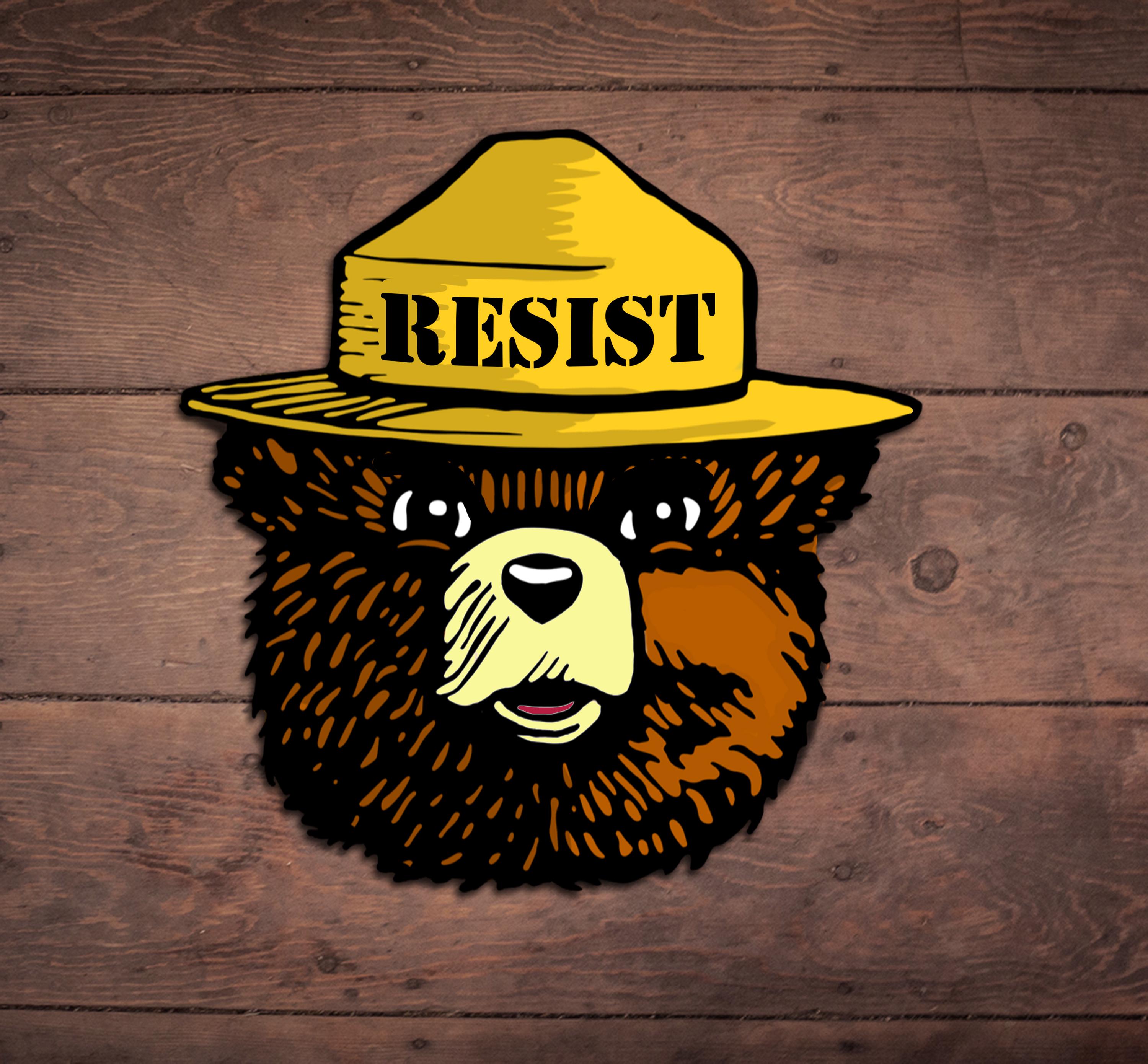 Smokey The Bear Resist Die Cut Sticker, Funny, Liberal, Feminism, Anti Trump, FDT, Democrat, Liberal