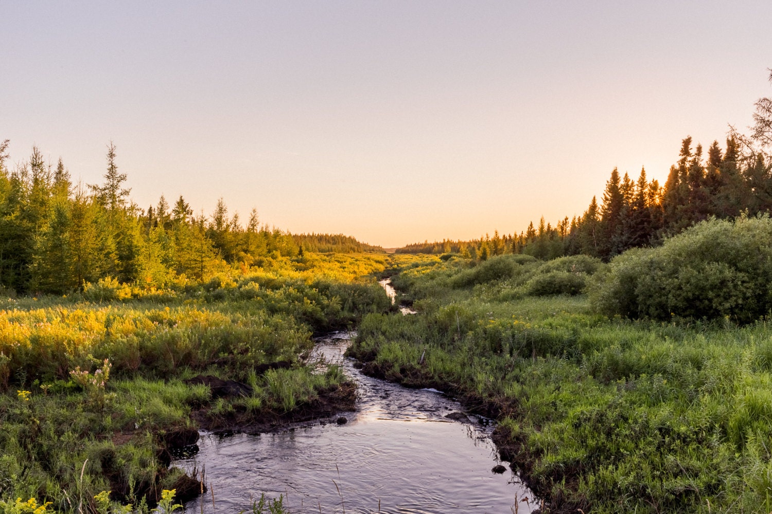 Meandering Brook in Minnesota Etsy