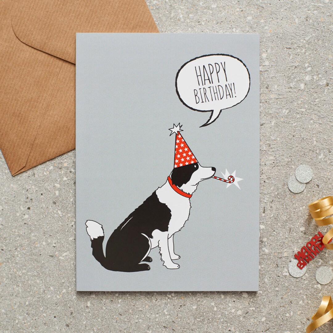Biglietto Di Auguri A5 Con Cane Border Collie – Disegno Umoristico Di Bryn Parry, Bianco Interno Con Busta - 4