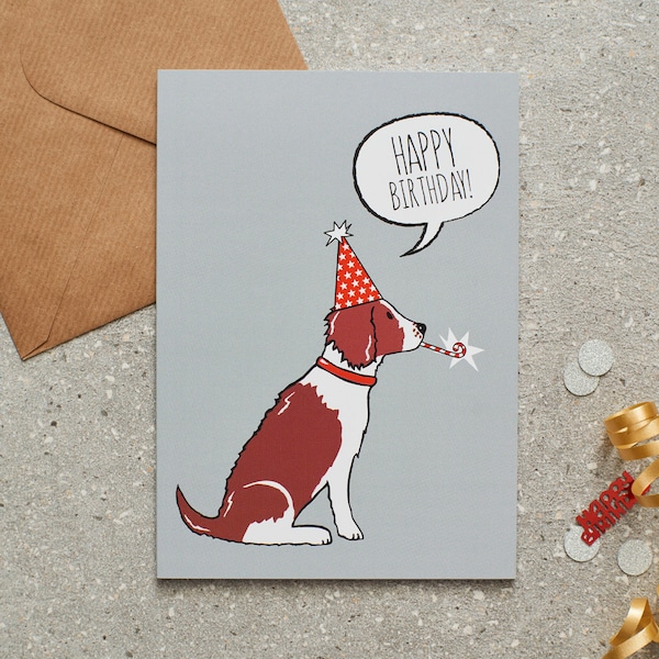 Springer Spaniel birthday card