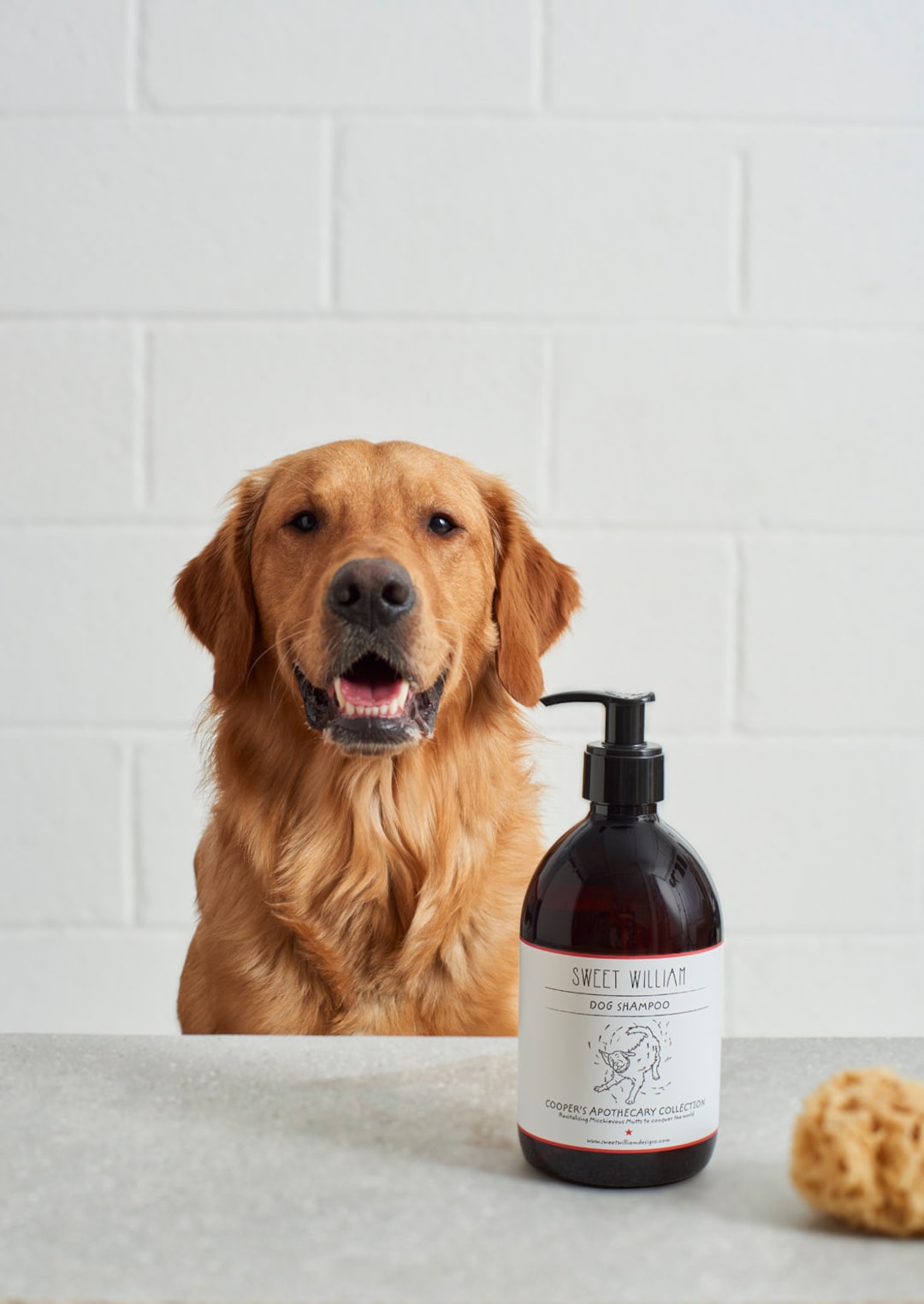 Vegan Dog Shampoo Etsy