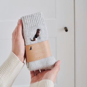 Beagle Dog Walking Socks