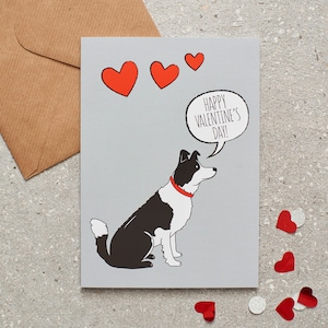 Border Collie Valentinstagskarte