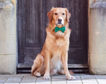 Velvet Bow Tie - Green