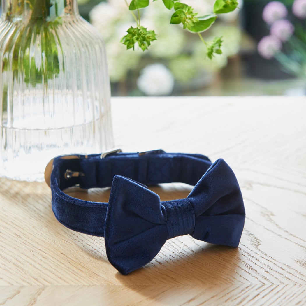 velvet dog bow tie