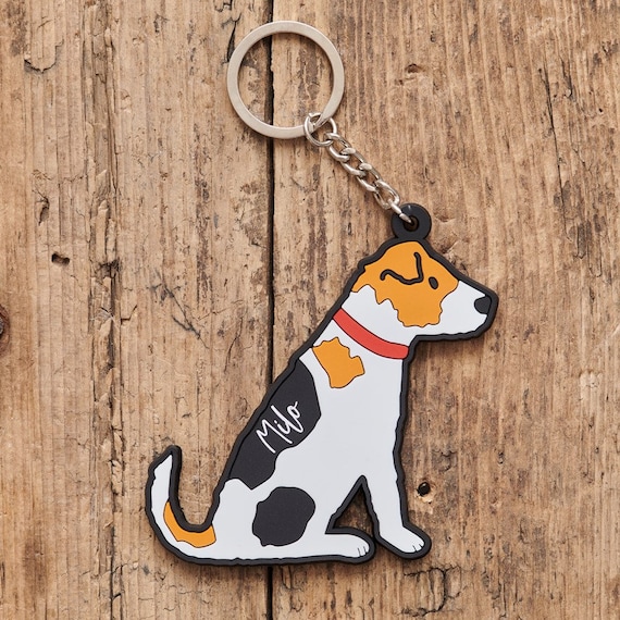 LOLIPPYY 4 Pezzi Portachiavi Trasparente Per Ricordo Cane - Foto 3