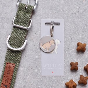 May include: A silver dog tag with a cartoon image of a dog on it. The tag is attached to a silver chain and is hanging from a white card with the text "Sweet William, Home of the Miniature Poodle".