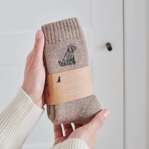 Cockapoo / Labradoodle (Chocolate) Dog Walking Socks