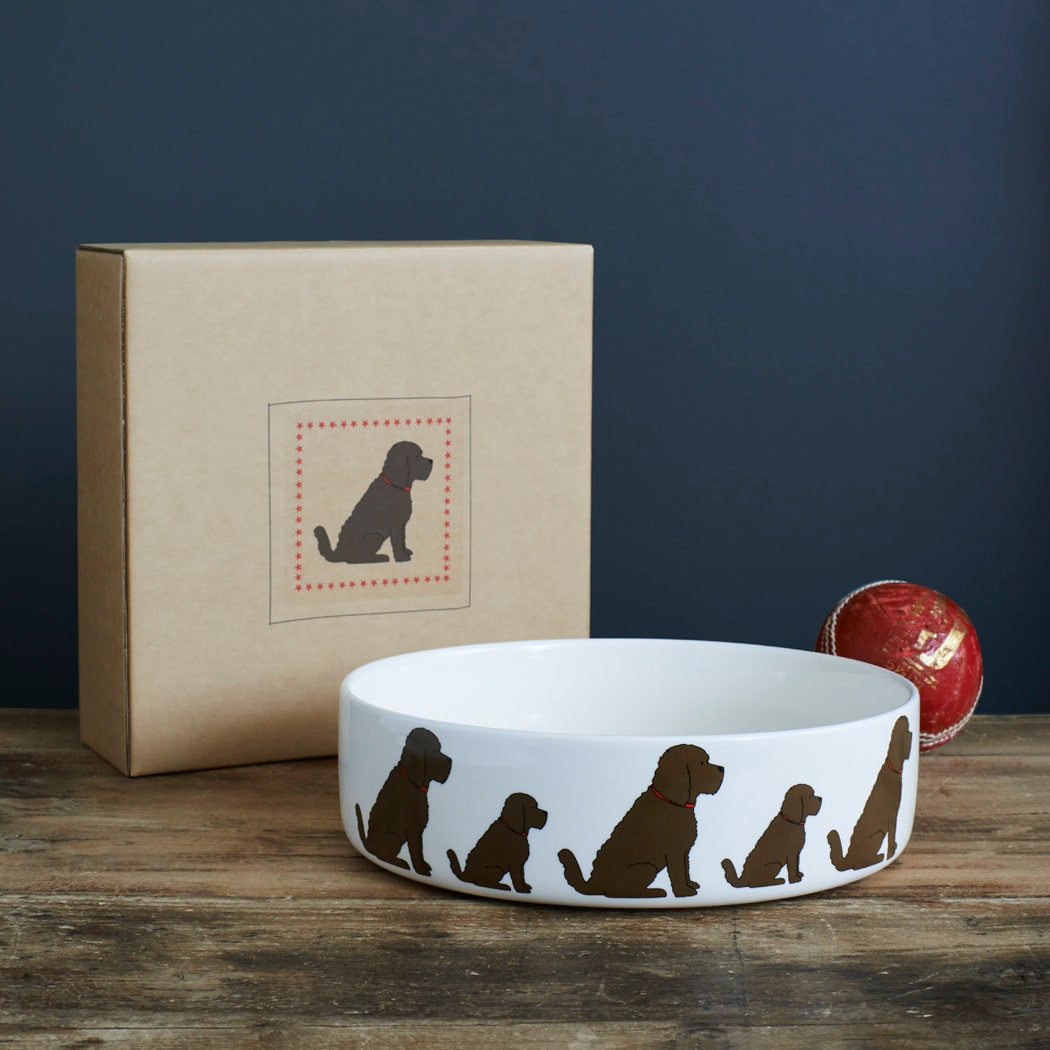 Cockapoo / Labradoodle Ceramic Dog Food / Water Bowl - Etsy