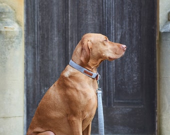 Tweed Dog Lead