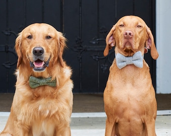 Tweed Dog Bow Tie