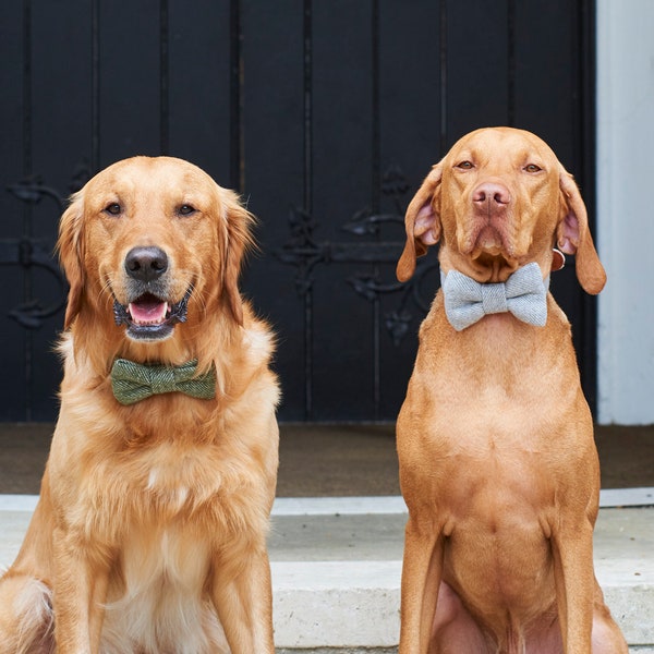 Tweed Dog Bow Tie