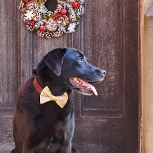 Velvet Bow Tie - Christmas Gold