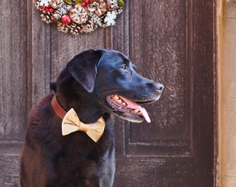 Velvet Bow Tie - Christmas Gold