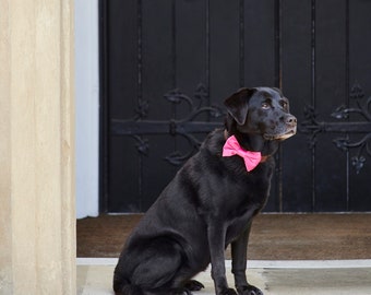 Velvet Bow Tie - Pink