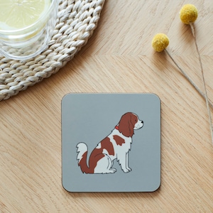 King Charles Cavalier Spaniel Coaster