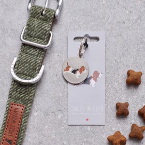Peut inclure: Un collier pour chien en tissu vert à motif chevrons avec une boucle argentée et une étiquette en cuir marron marquée Sweet William. À côté, une médaille d'identification ronde en argent illustrée d'un Basset sur un carton gris Sweet William.