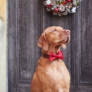 Velvet Bow Tie - Christmas Red