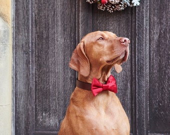 Velvet Bow Tie - Christmas Red