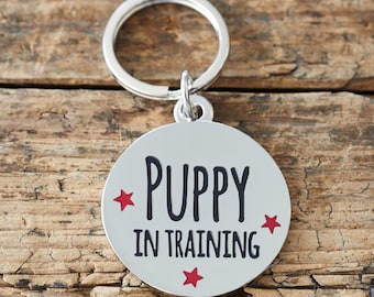 Placa de Identificação Personalizada para Cães – Placa com o Divertido Slogan “Filhote em Treinamento”, Placa com Nome do Animal de Estimação Gravado, Latão Banhado a Prata