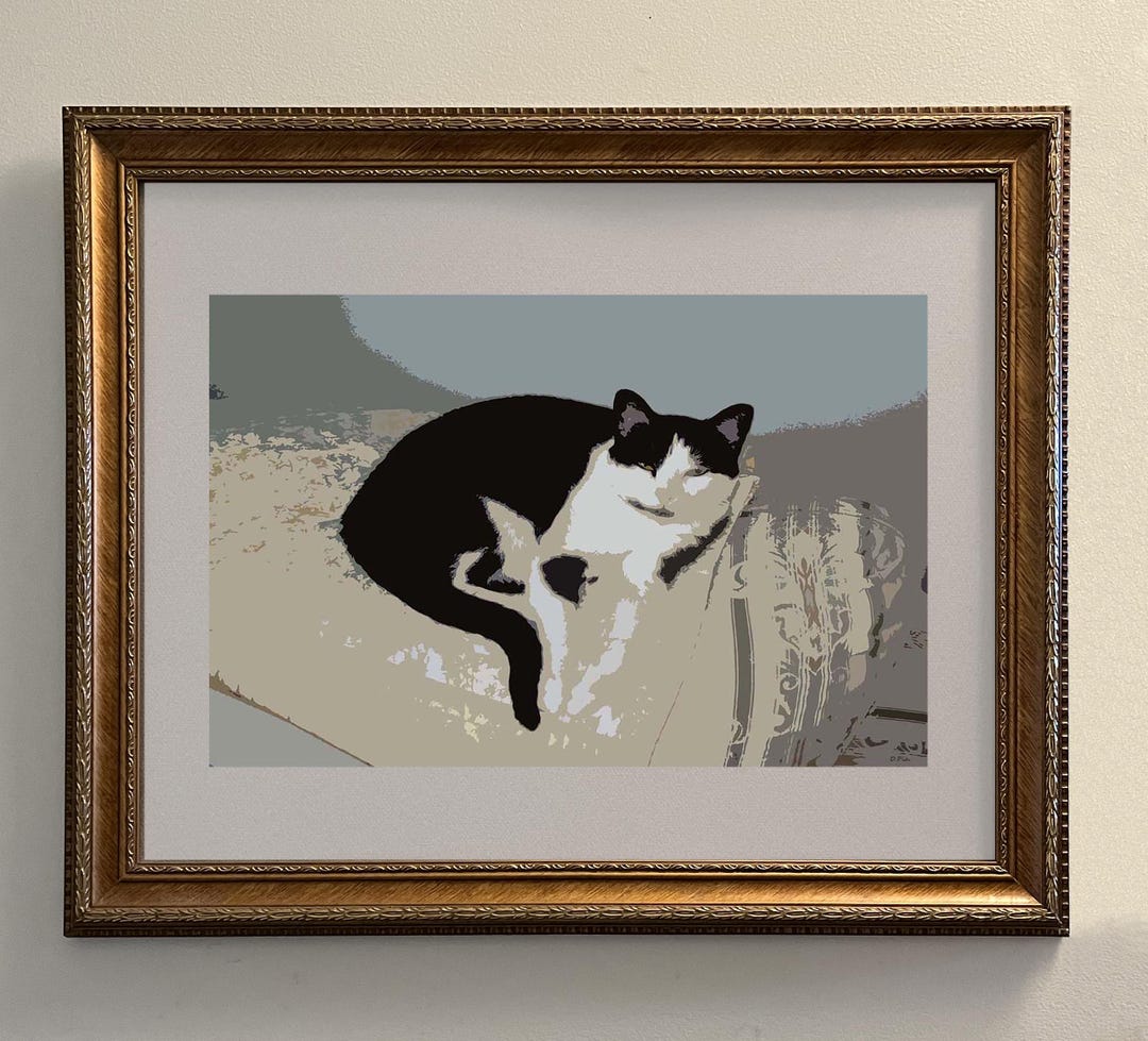 Black and White Cat Art Print: Watercolor Tuxedo Cat Portrait Poster 8 ...