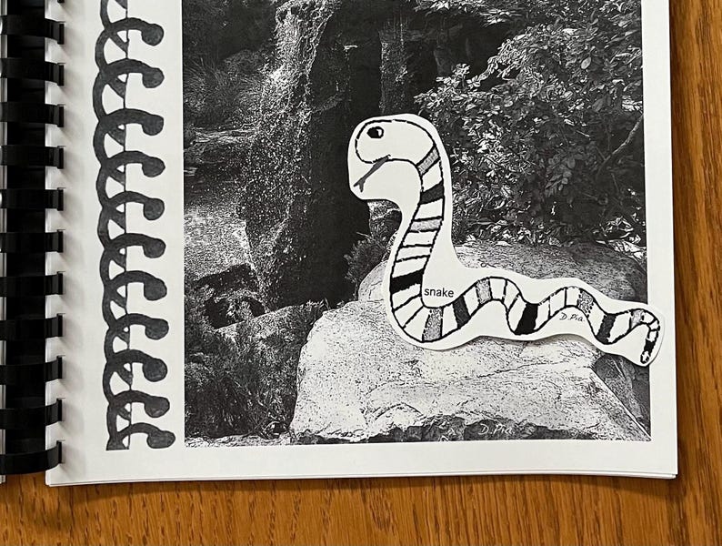 May include: A black and white photo of a forest with a hand-drawn snake sticker on a rock. The snake is black, white, and gray with the word "snake" written on it.