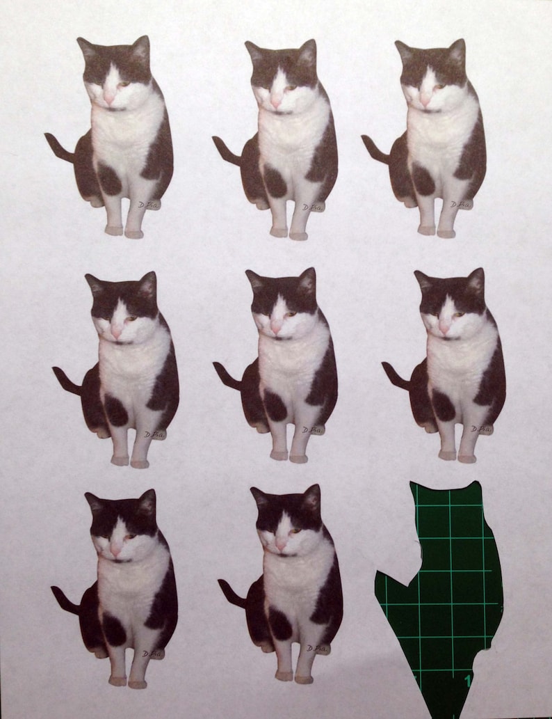 original artwork Annoyed cat Instant Download Black and White Cat ornaments or gift tagsset of 9 D.Pia Make them Custom