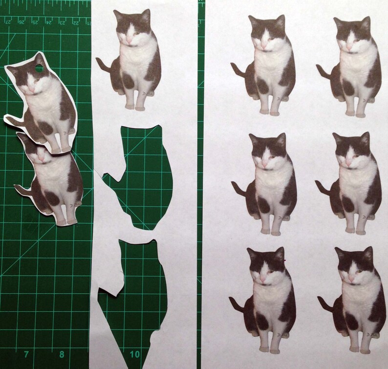 original artwork Annoyed cat Instant Download Black and White Cat ornaments or gift tagsset of 9 D.Pia Make them Custom