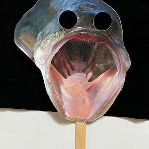 Bass fish mask Halloween or Fish Party costume favors/gifts Fish Mask set of 2 Handmade bass fish mask fishing party mask DPia Orig. Art